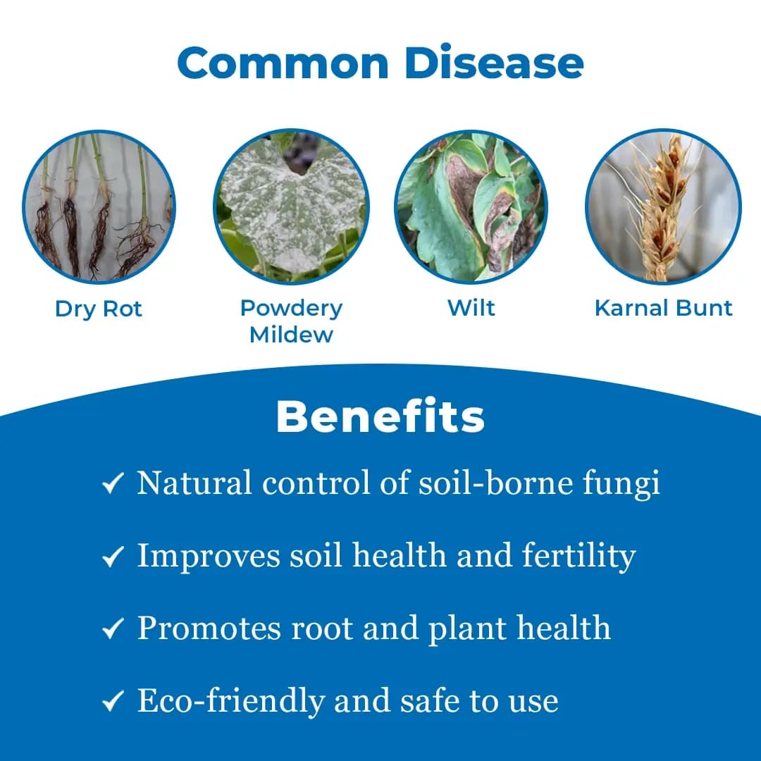 EBS Trichoderma Harzianum Liquid Bio Fungicide, Used As a Fungicide Cum Nematicide - Image 3