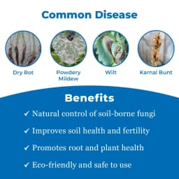 EBS Trichoderma Harzianum Liquid Bio Fungicide, Used As a Fungicide Cum Nematicide 3