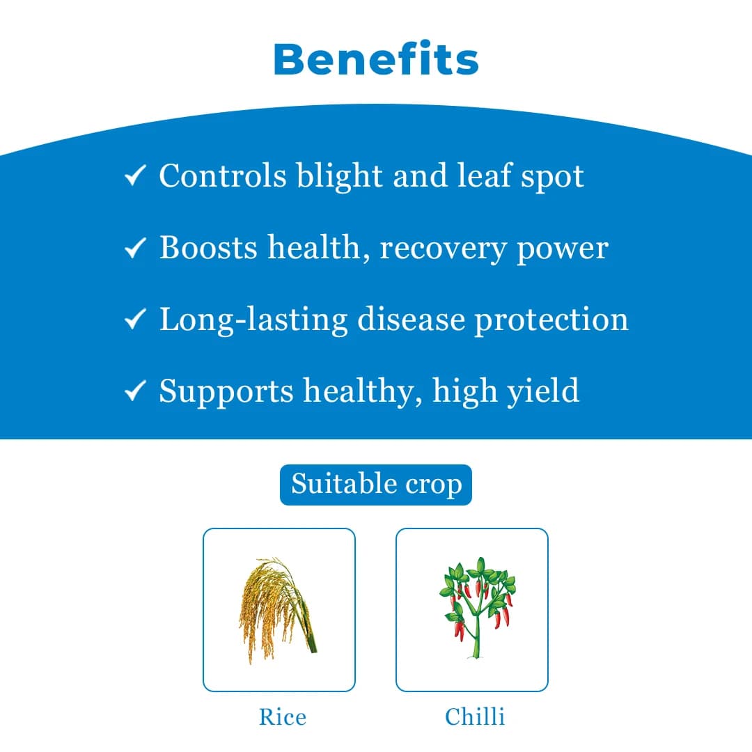 Kasu-B Fungicide - Kasugamycin 3% SL - Image 4