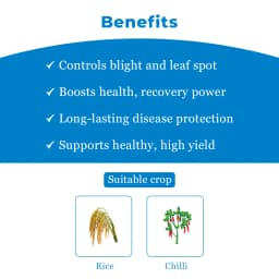 Kasu-B Fungicide - Kasugamycin 3% SL 4