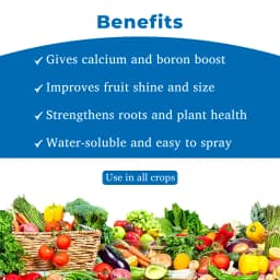 Aries Agro Combi Cal + Calcium Nitrate Fertilizer, 100% Water-Soluble, Efficient For Better Growth And Healthy Plants 4