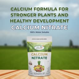 Agriventure Calcium Nitrate 18.8%, 100% Water Soluble Fertilizer, Increases Crop Quality And Yield 2