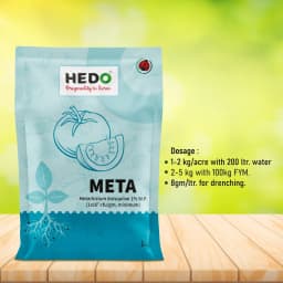 Hedo Meta (Metarhizium Anisopliae) Bio Pesticide, Effective Pest Control Against A Wide Range Of Insects 6
