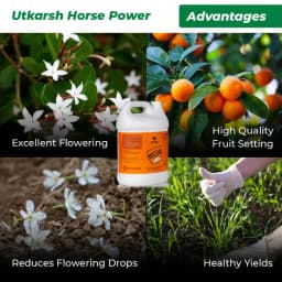 Utkarsh Horse Power (Ammonium Polyphosphate Fertilizer NPK 10:34:00), For Quick Maturity of Stem and Trunk of Plants and Trees 5