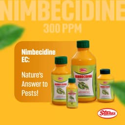 T.Stanes Nimbecidine 300 PPM Neem Oil Insecticide, Neem Based Botanical For Pest Control 3