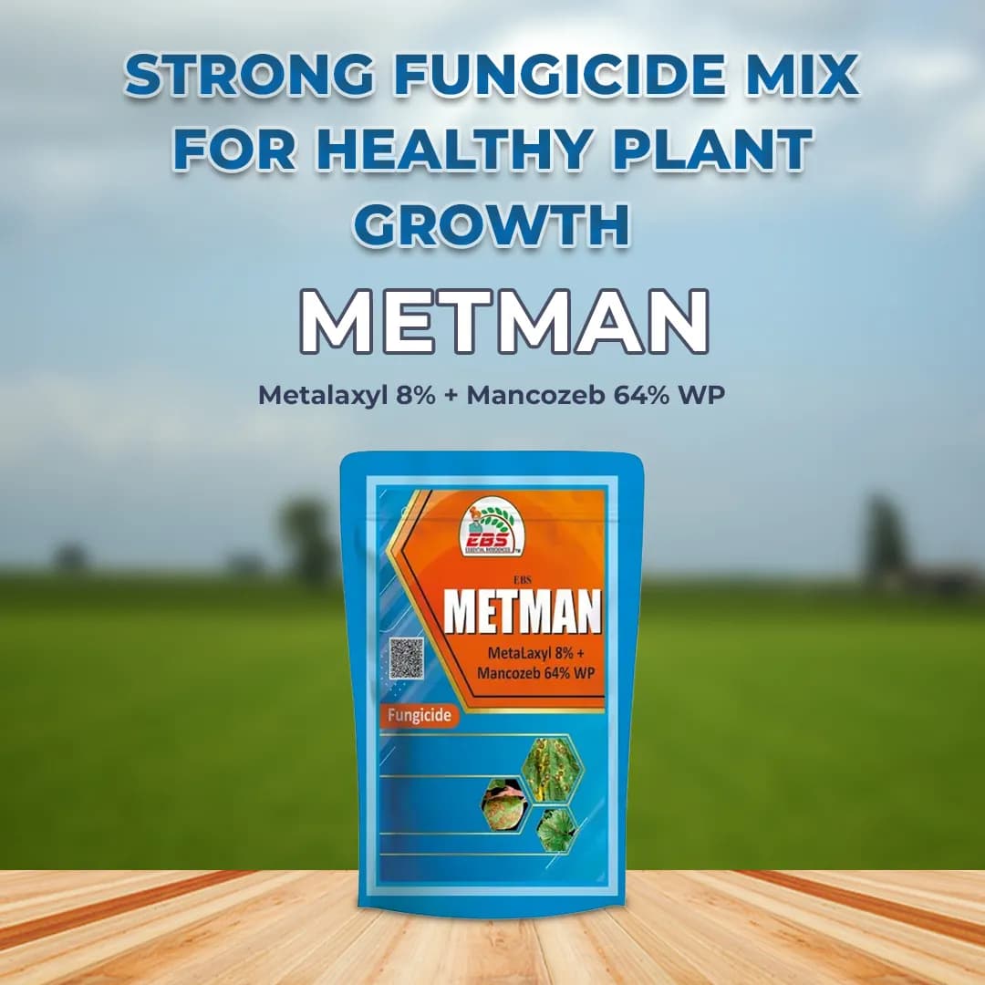 EBS Metman Fungicide - Metalaxyl 8% + Mancozeb 64% WP - Image 2
