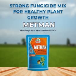 EBS Metman Fungicide - Metalaxyl 8% + Mancozeb 64% WP 2
