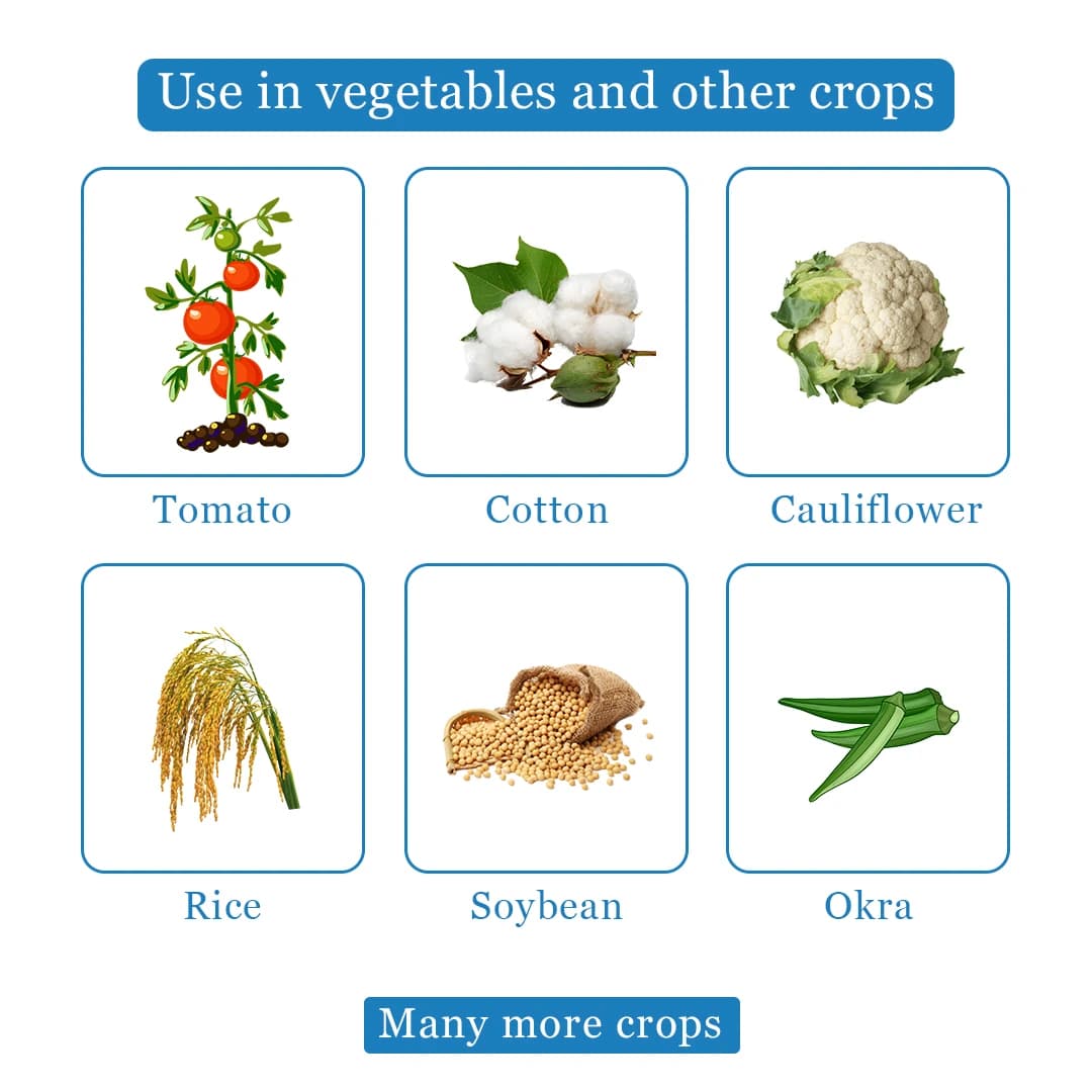 Bomba Pro Insecticide - Imidacloprid 70% WG - Image 4