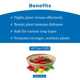 Geolife No-Virus Chilli Special, Liquid Fermented Organic Manure, Vriksha Ayurveda Inspired, Organic Fertilizer for Chilli, Improves Immunity & Yield, 5