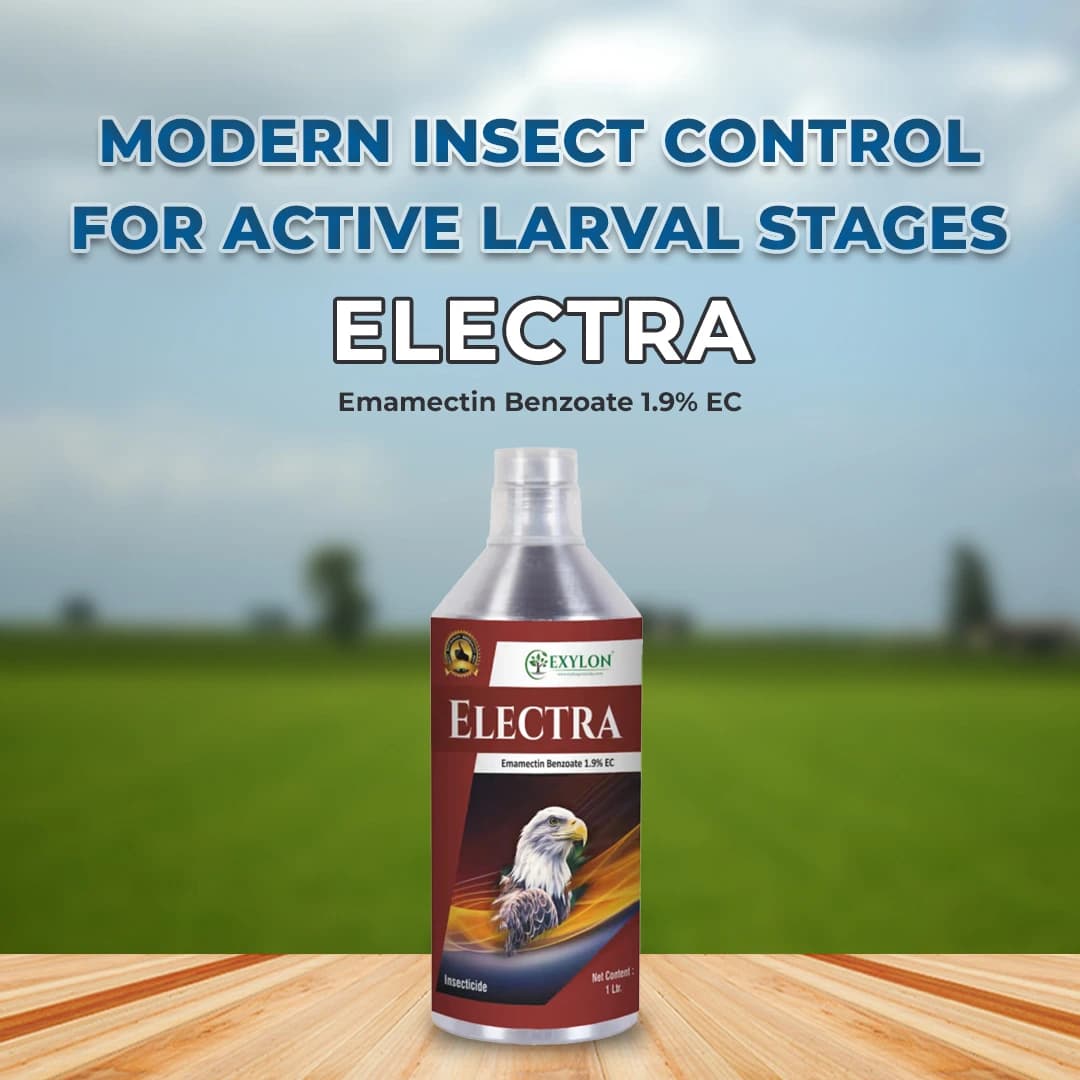 Exylon Electra Emamectin Benzoate 1.9% EC Insecticide, Effective Pest Control In Vegetables And Fruits Crops - Image 2