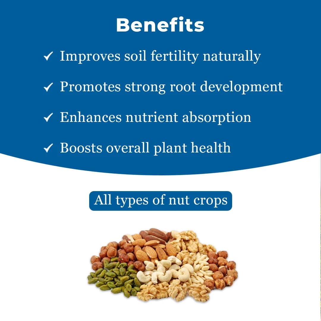 Dr. Soil Areca Special Fertilizer - Image 4