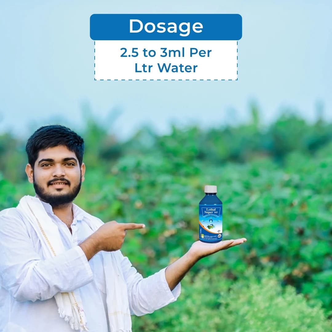 IIL Lethal Super 505 Chlorpyriphos 50% + Cypermethrin 5% EC Insecticide, Effective Against a Wide Range of Pests - Image 5