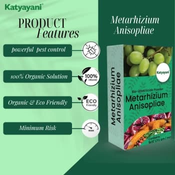 Katyayani Metarhizium Anisopliae Bio Insecticide, (Powder) Talcum Based Powder Formulation Used For Effective Pest Control - Image 4