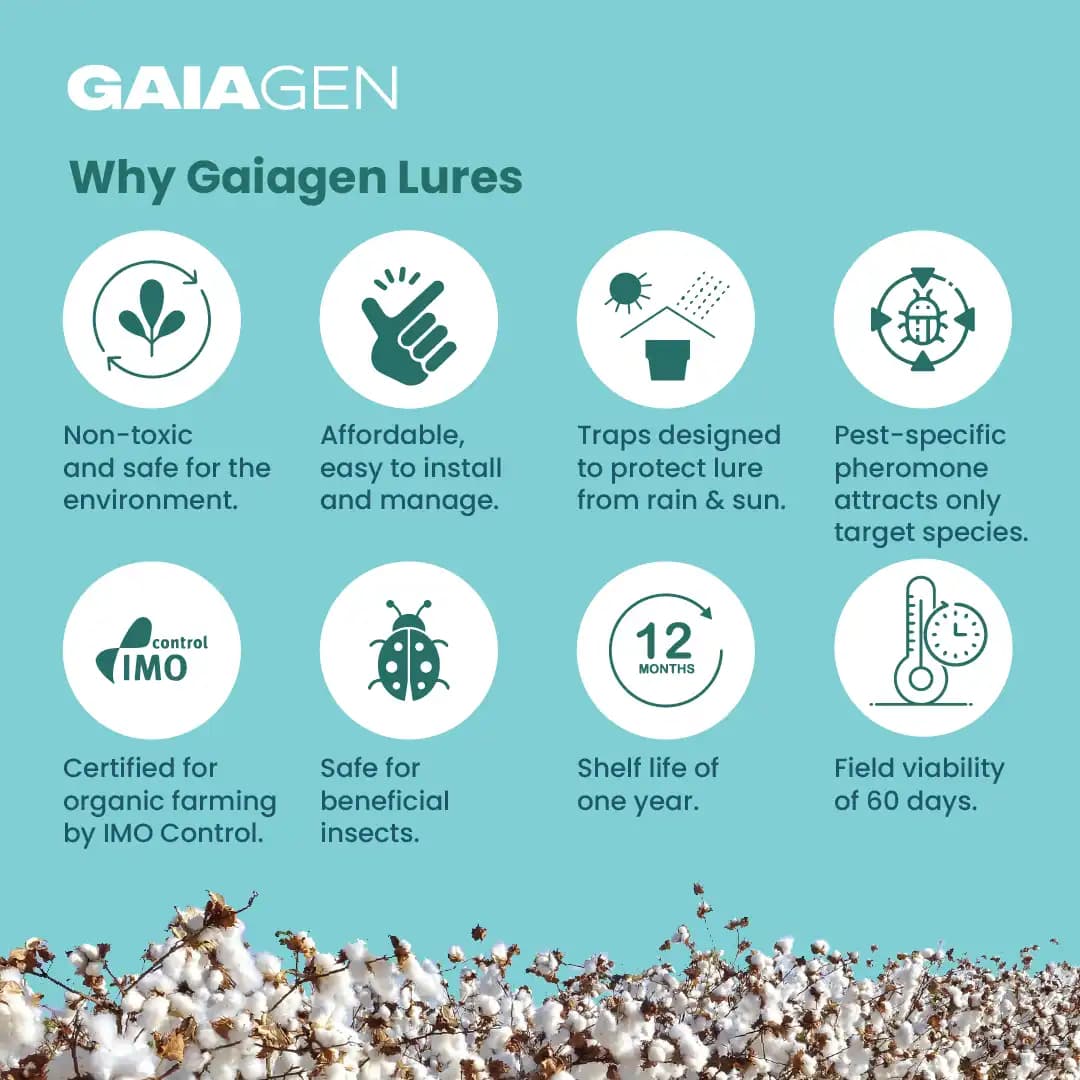 Gaiagen Tobacco Caterpillar (Spodoptera Litura) Pheromone Lure And Insect Funnel Traps, IMO Certified. - Image 8