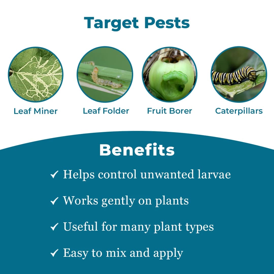 EBS Bacillus Thuringiensis Bio Larvicide, For All Plants And Home Garden, Ecofriendly, Effective Against All Lepidopteran Caterpillars - Image 3