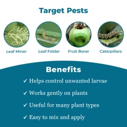 EBS Bacillus Thuringiensis Bio Larvicide, For All Plants And Home Garden, Ecofriendly, Effective Against All Lepidopteran Caterpillars 3