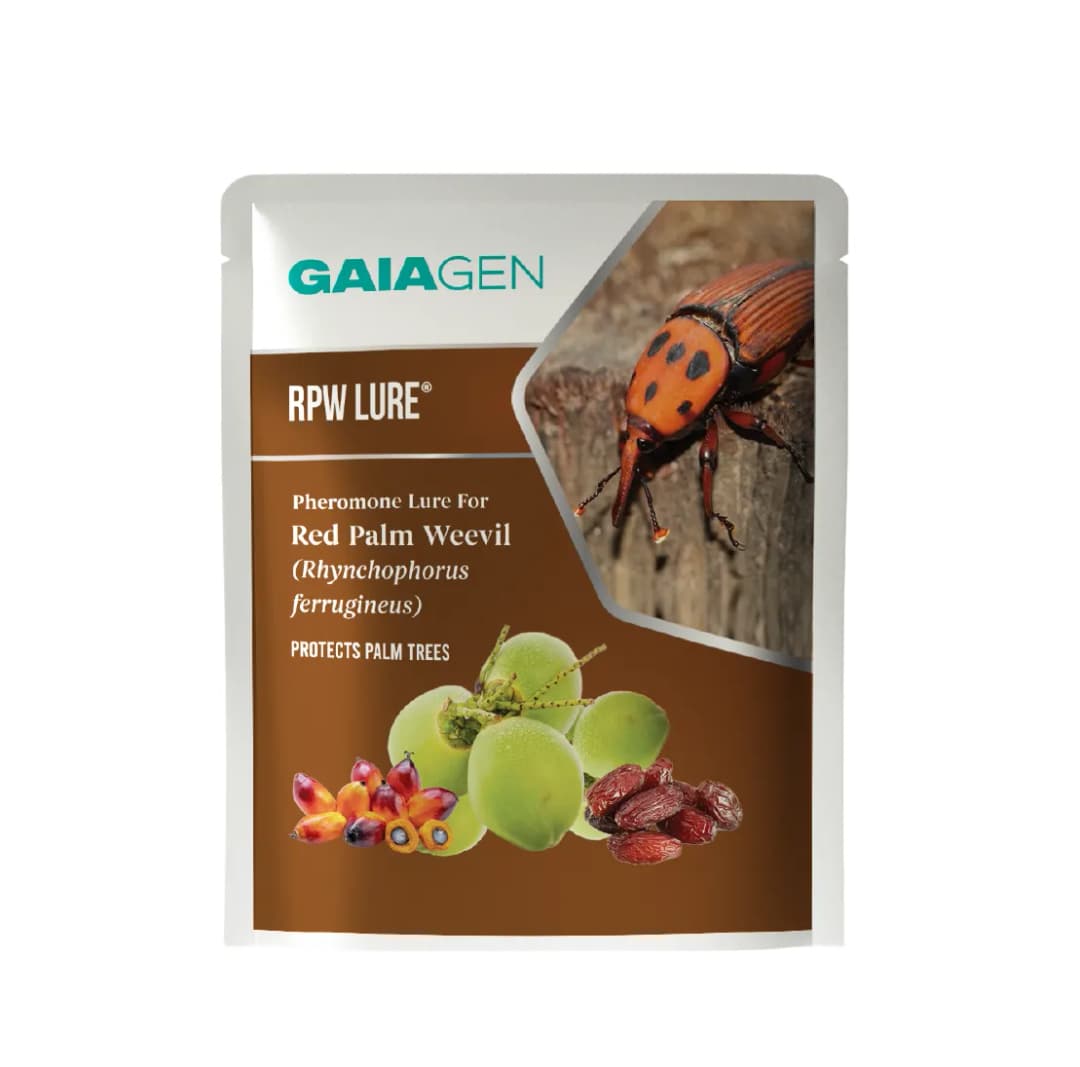 Gaiagen RPW Lure With Insect Bucket Traps, Pheromone Lure For Red Palm Weevil (Rhynchophorus Ferrugineus), IMO Certified. - Image 2