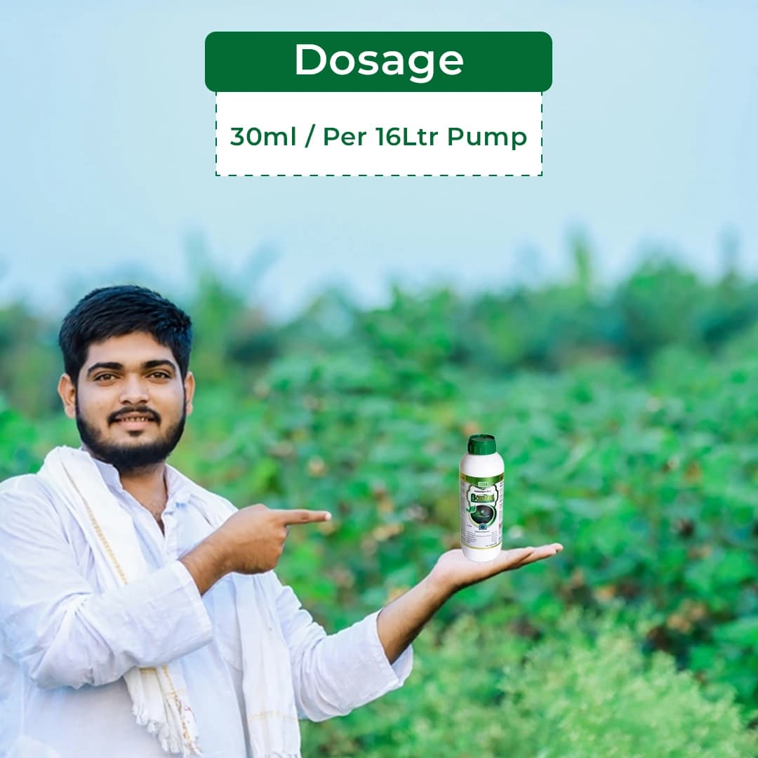 Bacf Bcontrol Fungicide - Validamycin 3% L - Image 5