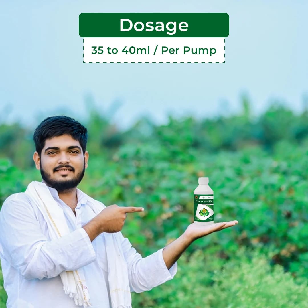 Exylon Cyclone 50 Chlorpyriphos 50% EC Insecticide, Broad-Spectrum, Effective Sucking And Chewing Pests For Crops - Image 5