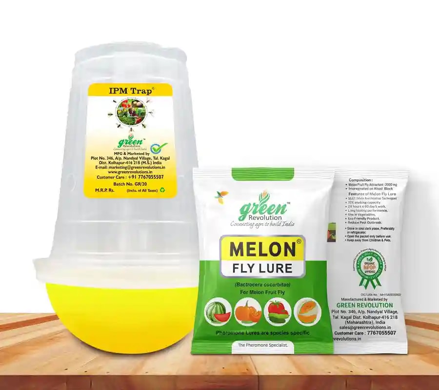 IPM Trap With Melon Fly Pheromone Lure For Controlling Bactrocera Cucurbitae. For Cucumber, Bottle Gourd, Bitter Gourd, Pumpkin, Water Melon