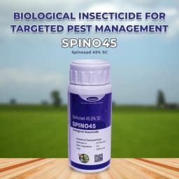 Katyayani Spino 45 Spinosad 45% SC Insecticide, Used For The Control Of Resistant Helicoverpa In Cotton And Red Gram 2