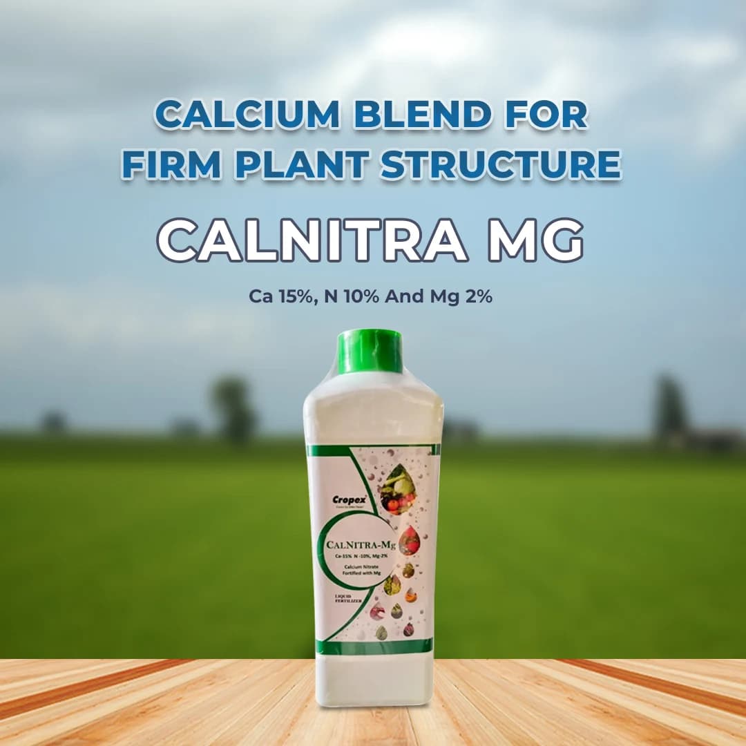 Cropex Calnitra MG, Ca 15%, N 10% And Mg 2%, Combination Of Calcium And Magnesium With Nitrates, Calcium Nitrate Fortified with Magnesium - Image 2