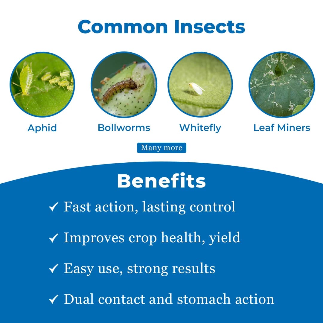 BACF Priorat 404 Insecticide - Image 3