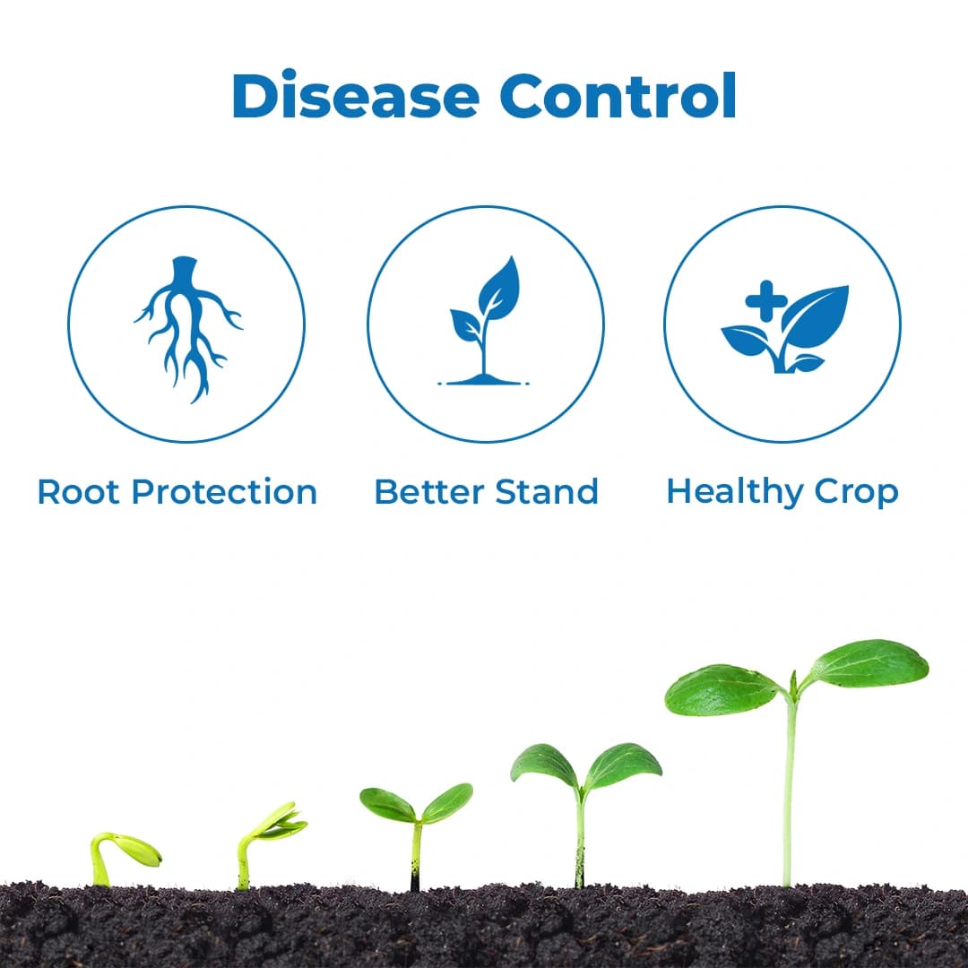 Dr. Bacto\'s Bactus 4K Bacillus Subtilis Bio-Fungicide, Inhibits Growth of Plant Fungal Pathogens and Helps to Enhance the Growth and Immunity of Plant - Image 3