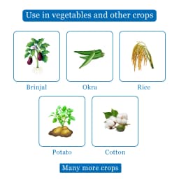 Dhanuka Areva Super Insecticide - Thiamethoxam 30% FS 4