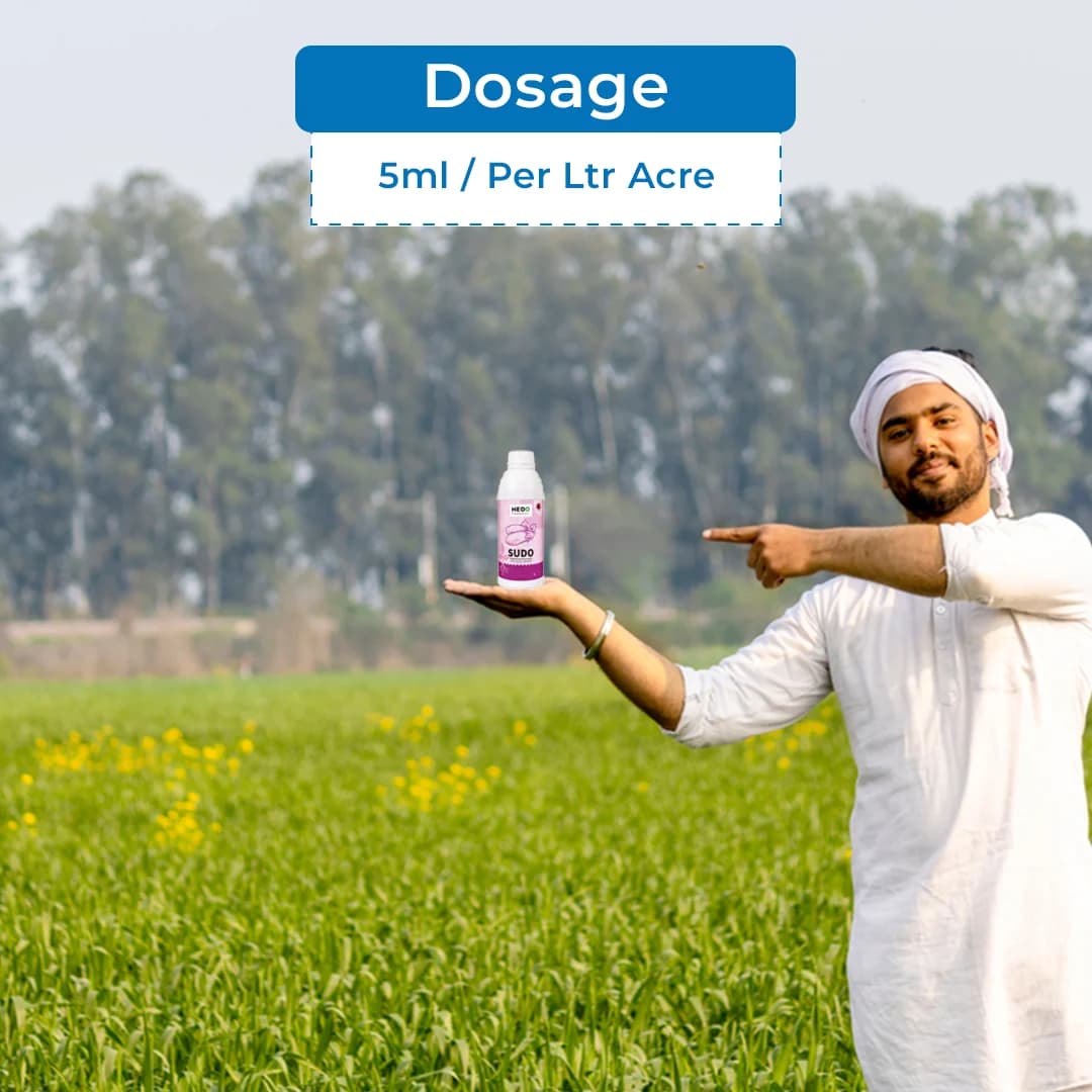 HEDO Sudo (Pseudomonas Fluorescence) Liquid Bio Fungicide, Effective Against A Wide Range Of Soil, Seed, And Air Borne Plant Diseases - Image 5