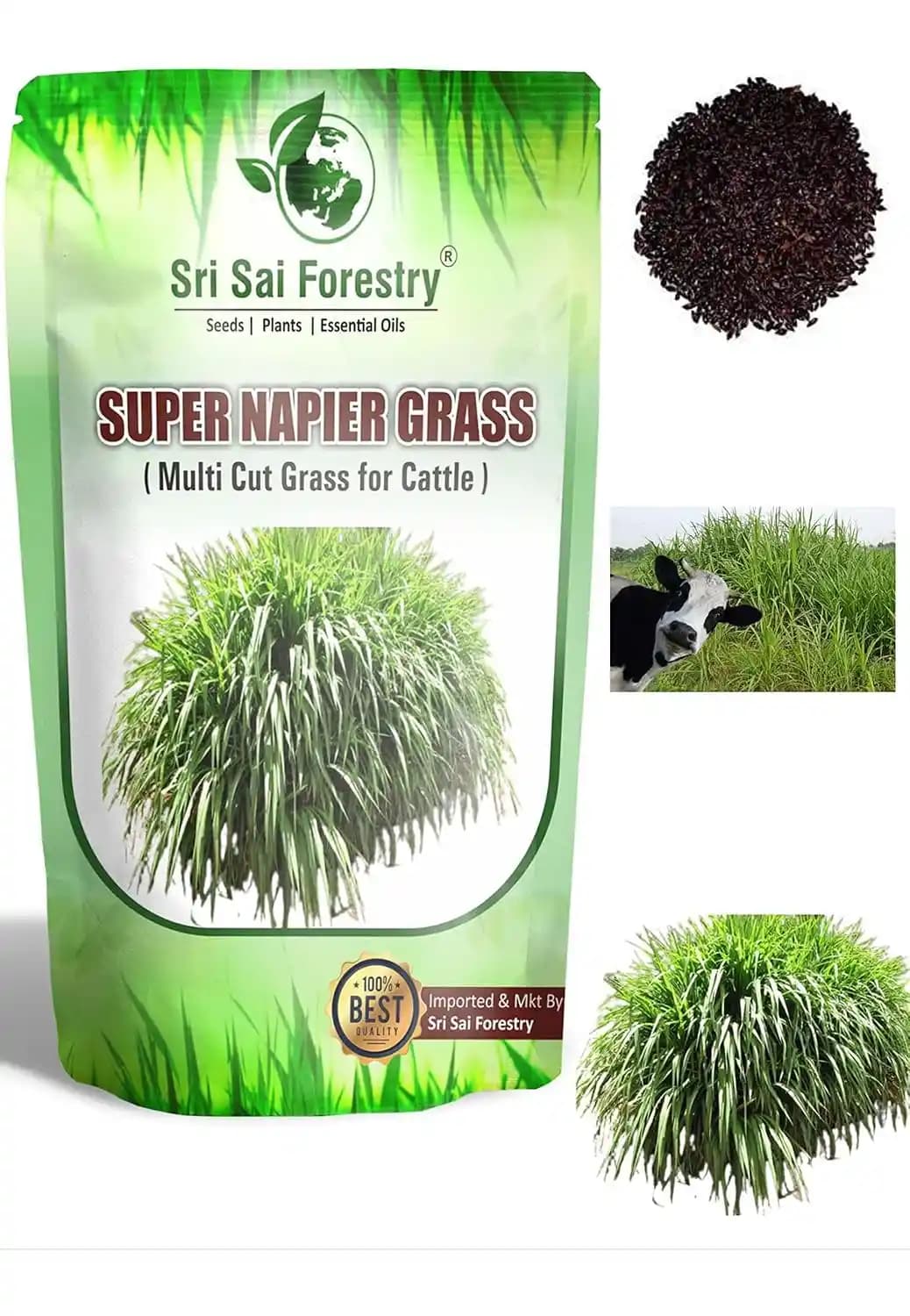 SRI SAI FORESTRY Super Napier Grass Seeds for Cattle, Multi Cut Grass Seed for Animal Fodder - Image 7