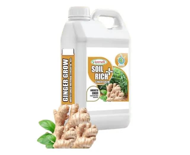GINGER GROW Amruth Ginger Liquid Microbial Consortia-AGG, Adarak Special, Liquid Bio Fertilizer
