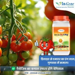 InGene Nanozim DeLite WG Bio-Stimulant, Advanced Seaweed Based For Enhanced Crop Growth And Yield 2