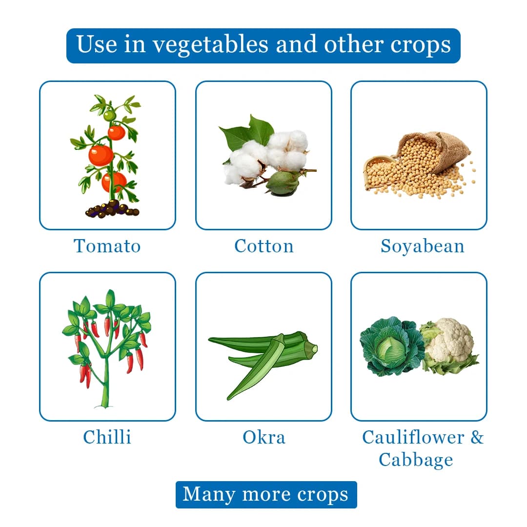 Novadok Insecticide - Novaluron 5.25% + Indoxacarb 4.5% SC - Image 4
