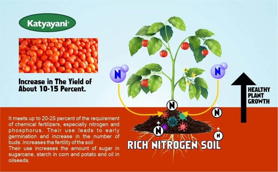 Katyayani Acetobacter Bio Fertilizer, Advanced Nitrogen Fixing Solution For Organic Farming - Image 3