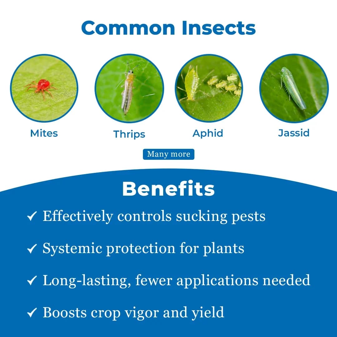 Rain-Mida Extra - Imidacloprid 30.5% SC - Image 3