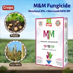 Multiplex M And M Metalaxyl 8% + Mancozeb 64% WP Fungicide, Effective Broad-Spectrum Disease Control 3