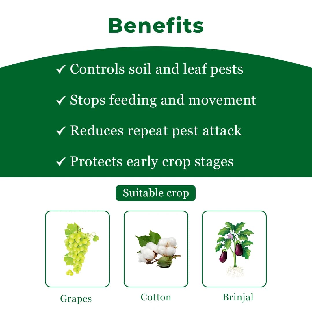 Exylon Flybird Fipronil 40% + Imidacloprid 40% WG Insecticide, Dual-Action, Effective Pest Control - Image 4
