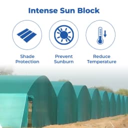 Anil Packaging Garden Shade Net 90% Shade, Sun Protected, UV Stabilized Material 3