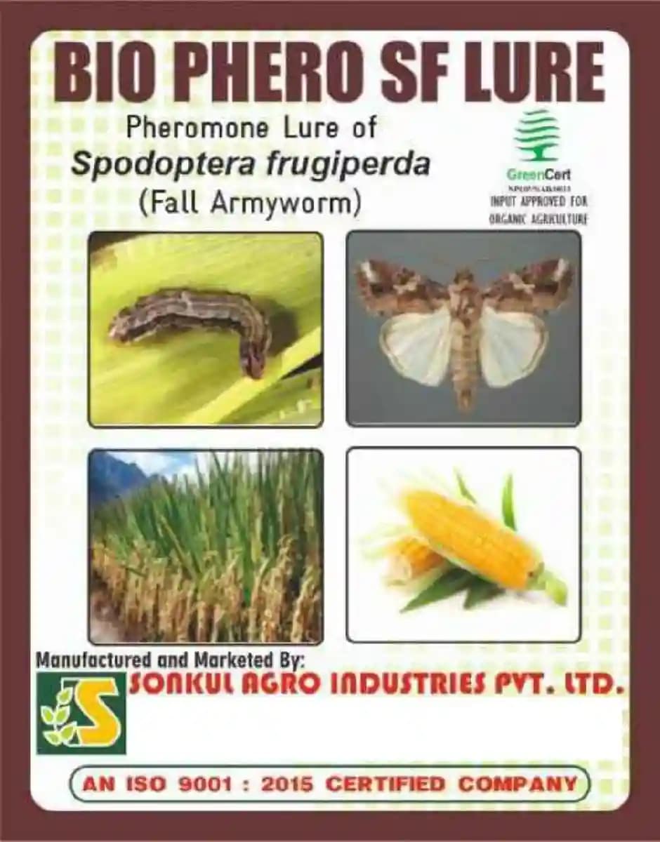 Sonkul Agro Industries BIO PHERO SF Spodoptera frugiperda (Fall Armyworm) Lure & Funnel Trap - Image 2