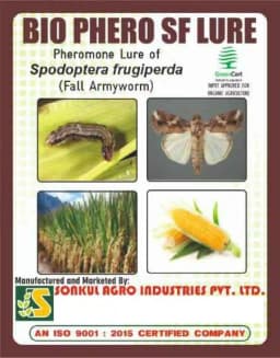 Sonkul Agro Industries BIO PHERO SF Spodoptera frugiperda (Fall Armyworm) Lure & Funnel Trap 2