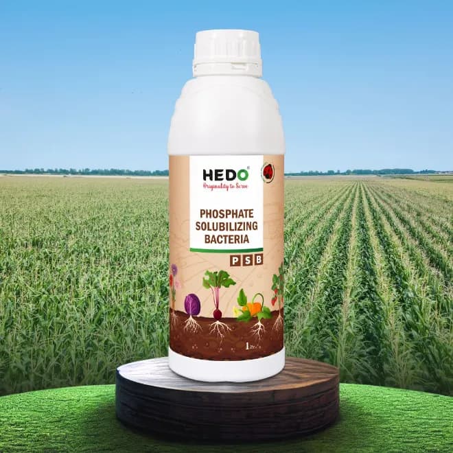 HEDO Phosphate Solubilizing Bacteria Liquid Bio Fertilizer, For Agriculture, Garden, Soil Fertility And Plant Nutrition. - Image 7