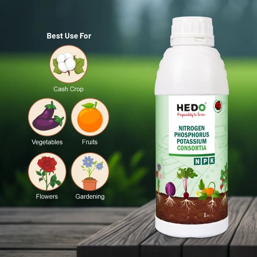 HEDO NPK Consortia (Bacteria) Liquid Bio Fertilizer For Agriculture, Garden, Soil Fertility And Plant Nutrition. - Image 6