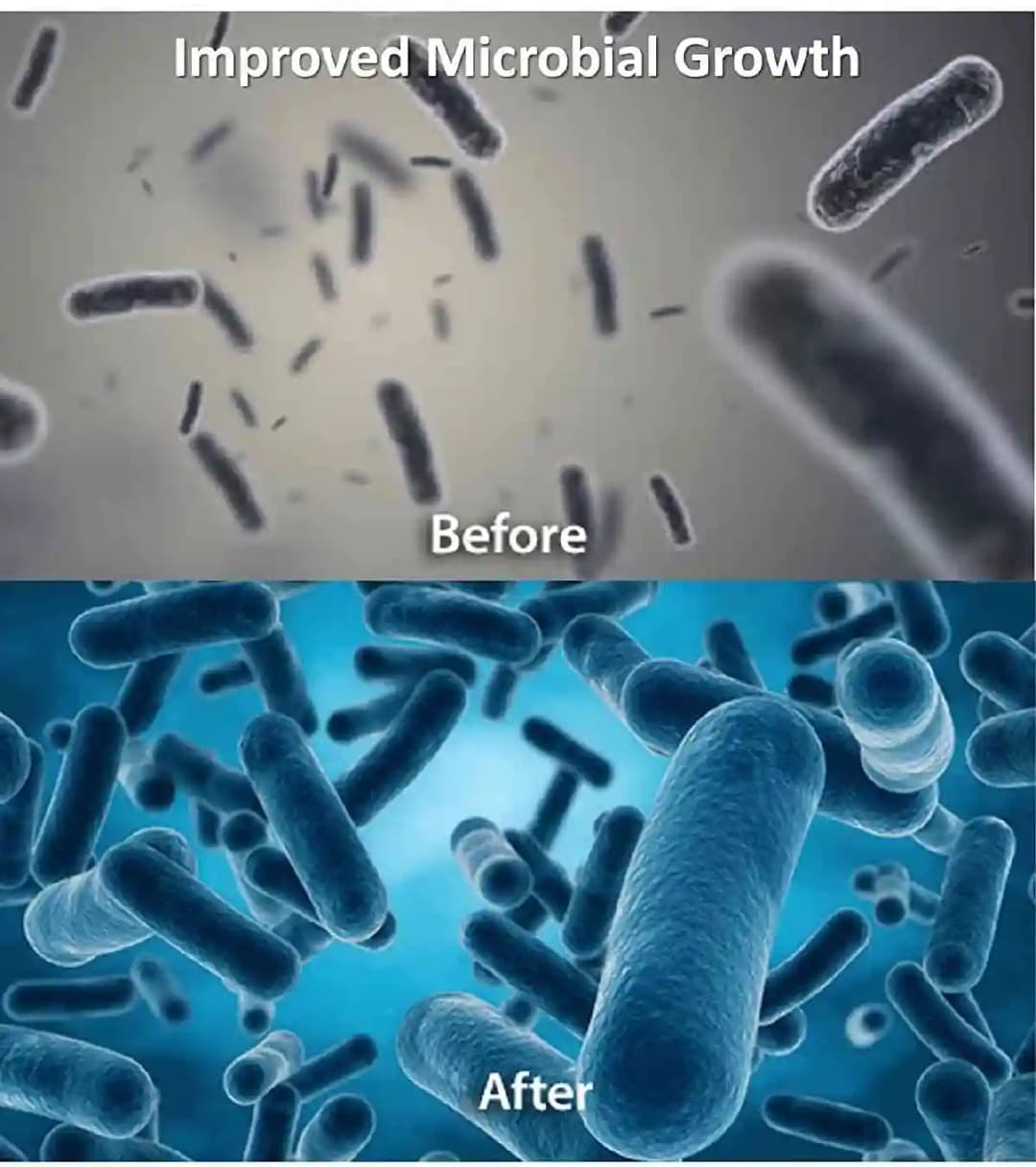 100% Organic HUMATE, Contains Highest Humic & Fulvic Acid, From USA, Humic Acid 58%, Fulvic Acid 33% - Image 7