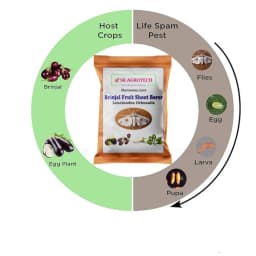 SK Agrotech Leucinodes Orbonalis (Brinjal Fruit and Shoot Borer) Pheromone Trap With Lure - Effective Pest Management Solution 10