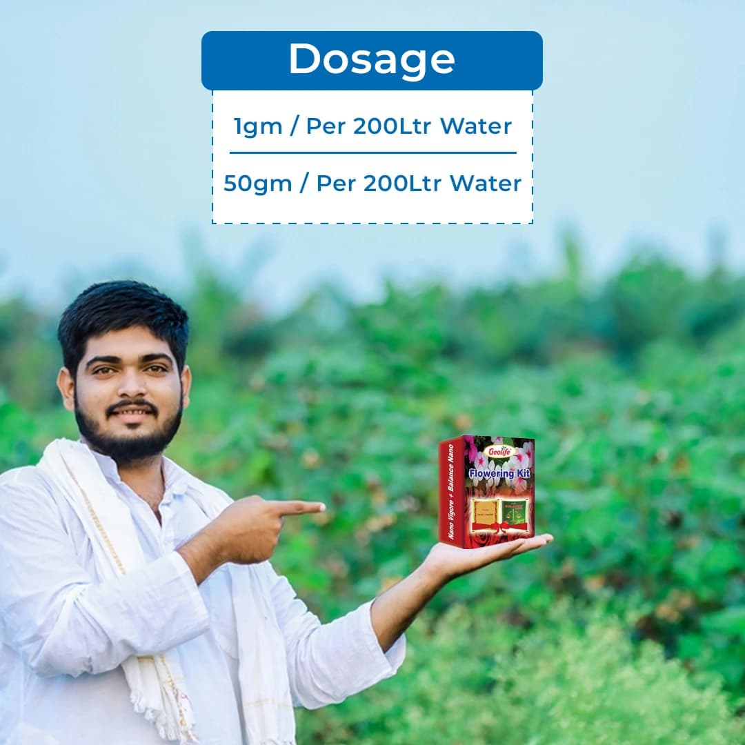 Geolife Flowering Kit 51 GM (Nano Vigore 1 Grm + Balance Nano 50 Grm), Unique Combination of Nutrients And Enzymes - Image 5