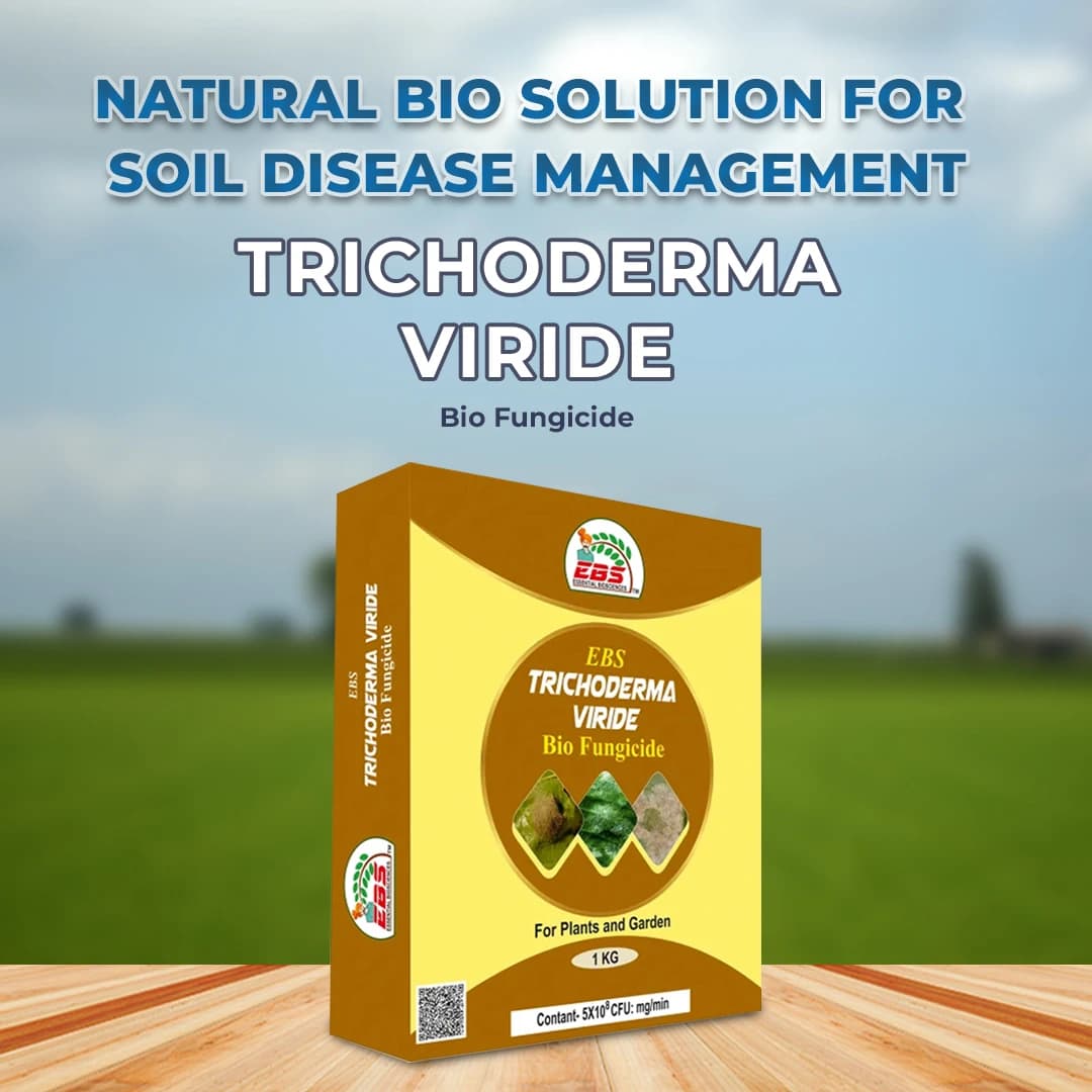 EBS Trichoderma Viride 5x10^8 Bio Fungicide, Control Soil And Seed Borne Diseases On Fruits & Vegetables Crop. - Image 2