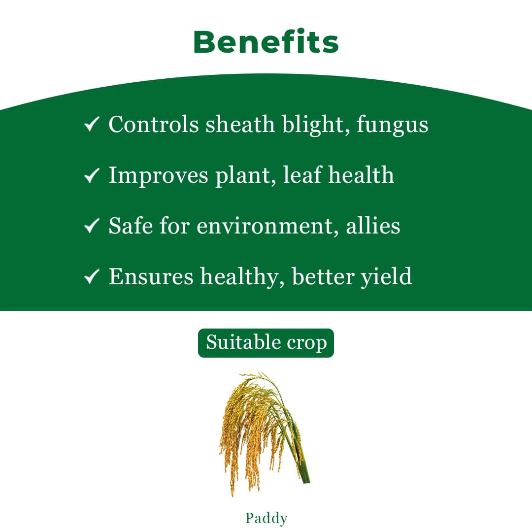 Bacf Bcontrol Fungicide - Image 4