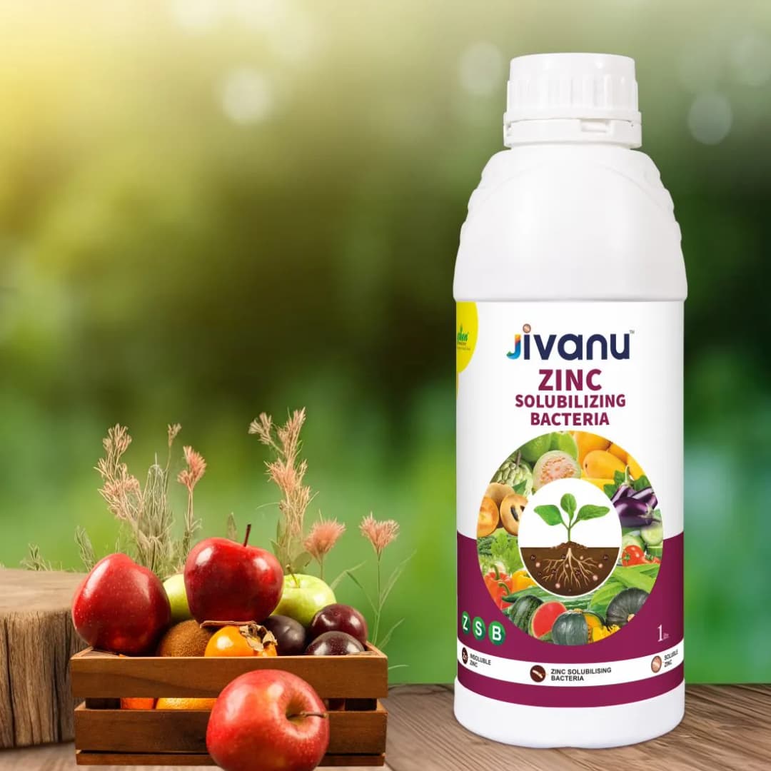 Green Revolution Jivanu ZSB Zinc Solubilizing Bacteria Liquid Bio Fertilizer, Boosts Soil Fertility And Sustainability - Image 4