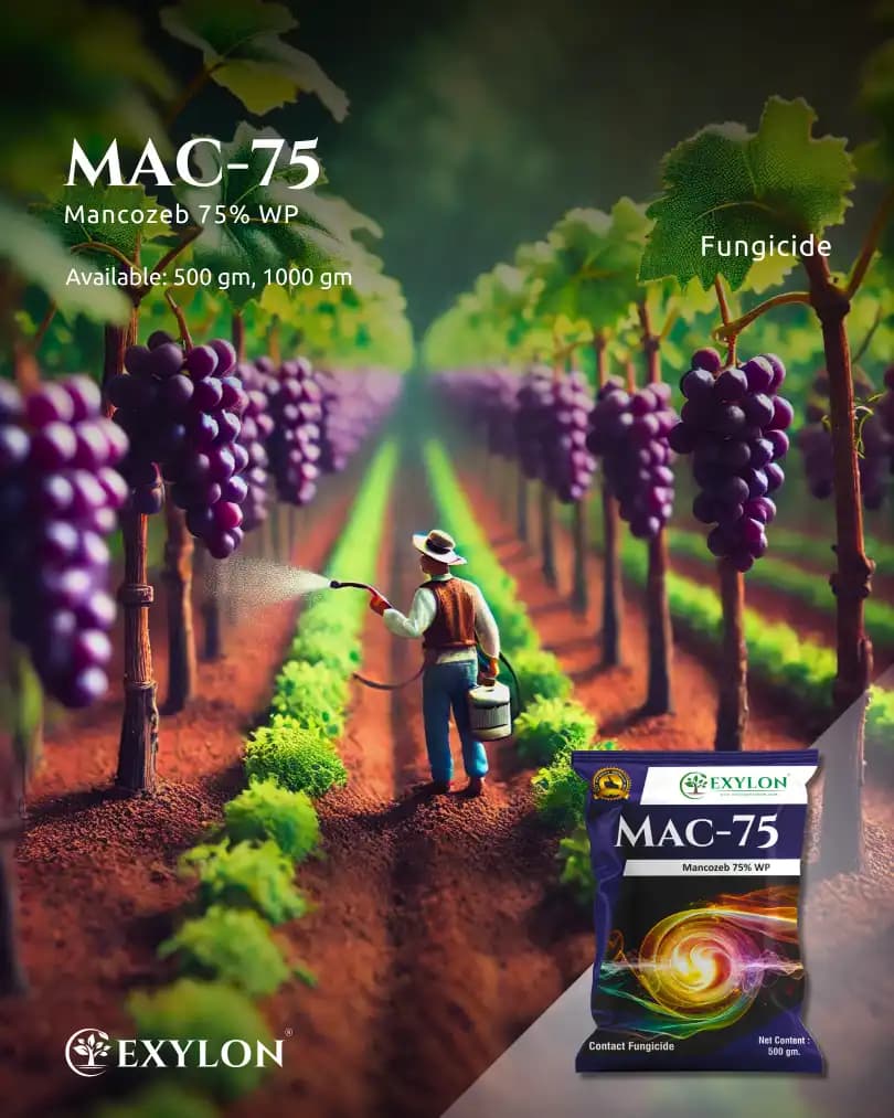 Exylon Mac 75 Mancozeb 75% WP Fungicide, Broad-Spectrum, Effective Disease Control In Crops - Image 2